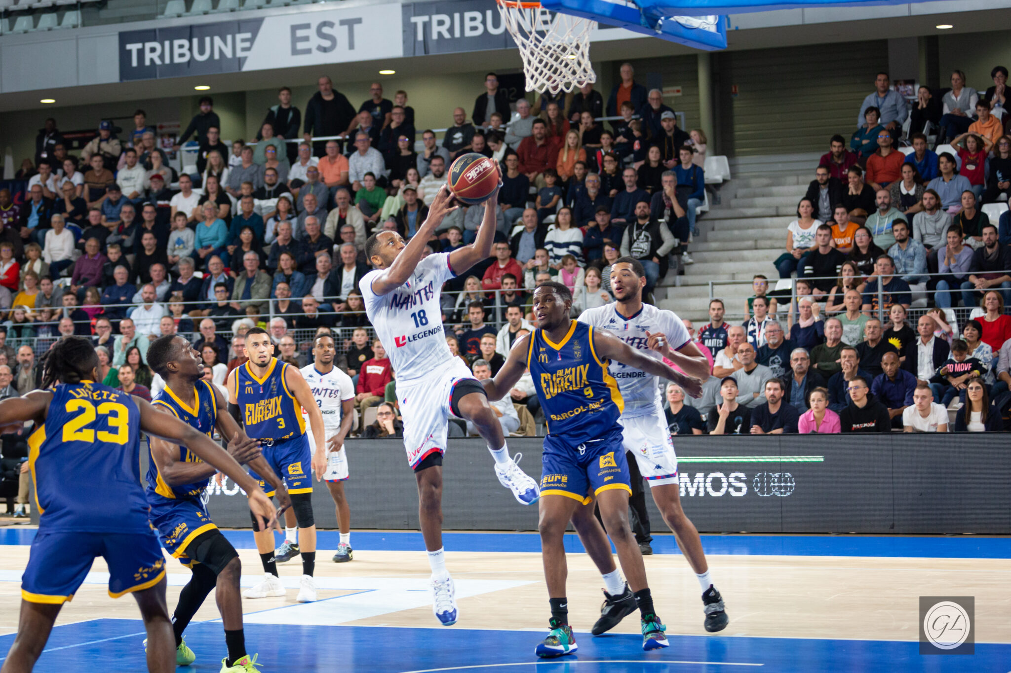 Début en Pro B validé pour le NBH face à Evreux Nantes Basket Hermine